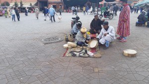 Snake charmer - cobras in-strike | Marrakech Jemaa el-Fnaa